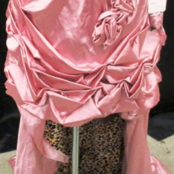 Pageant/Prom Dress - Picture 2 of 4